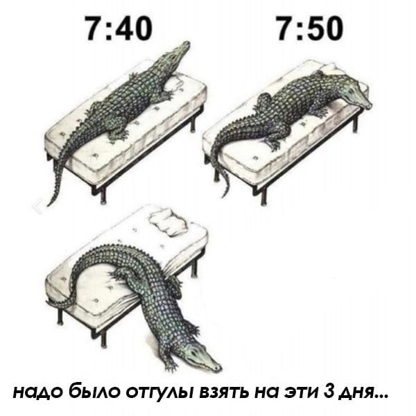 7:40 7:50 надо было отгулы взять на эти 3 дня...