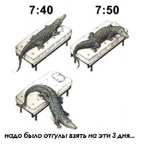 7:40 7:50 надо было отгулы взять на эти 3 дня...