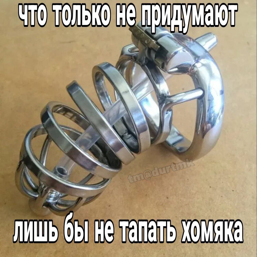 что только не придумают бы He тапать хомяка