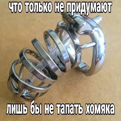 что только не придумают бы He тапать хомяка