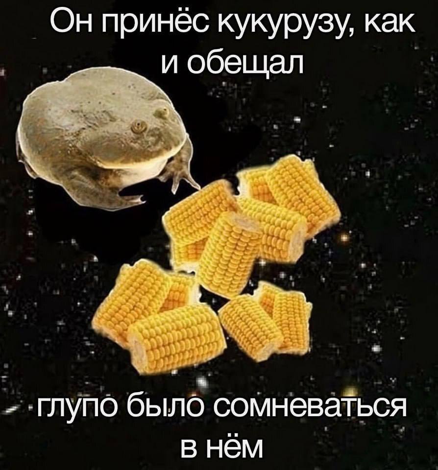 Он принёс кукурузу, как и обещал Глупо было сомневаться в нём