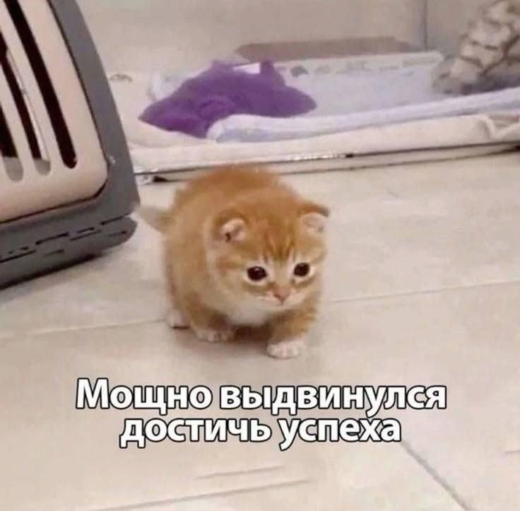 Мощно выдвину