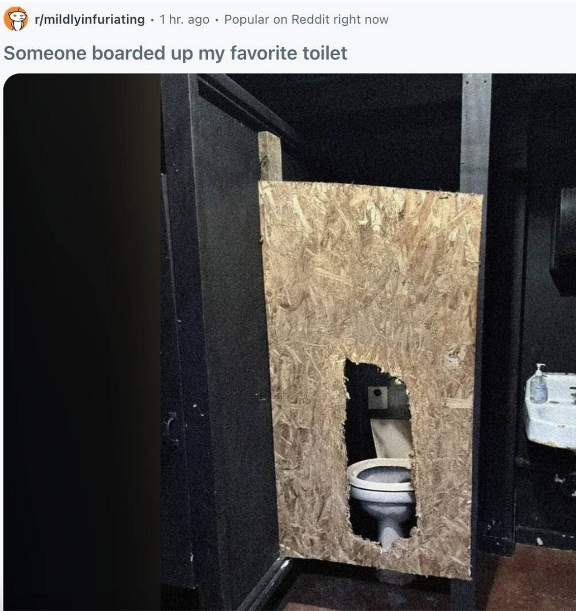 1 ago Popular Reddit right now Someone boarded up my favorite toilet
