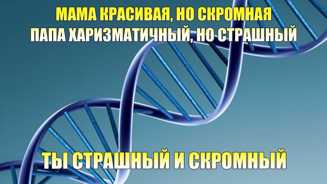 МАМА КРАСИВАЯ, НО СКРОМНАЯ ПАПА СТРАШНЫЙ ТЫ СТРАШНЫЙ И СКРОМНЫЙ