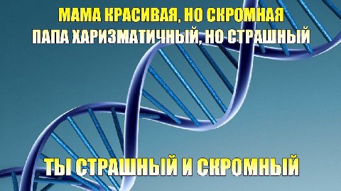 МАМА КРАСИВАЯ, НО СКРОМНАЯ ПАПА СТРАШНЫЙ ТЫ СТРАШНЫЙ И СКРОМНЫЙ