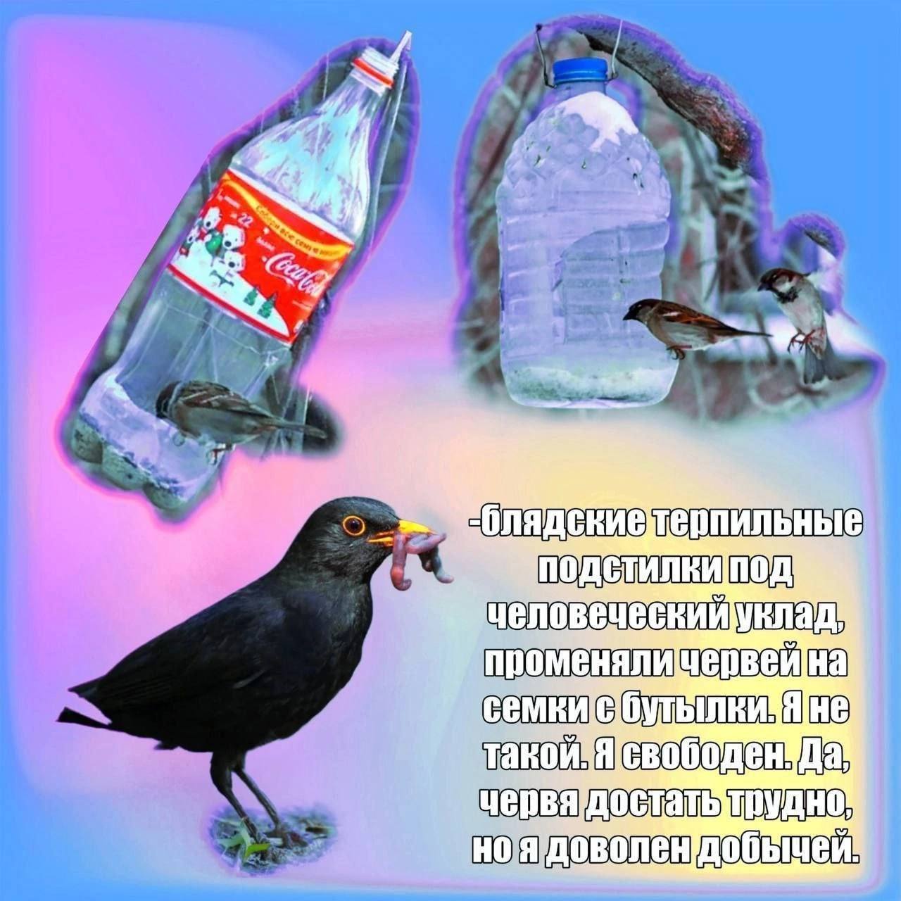 shi 4 me О a променяличервейна