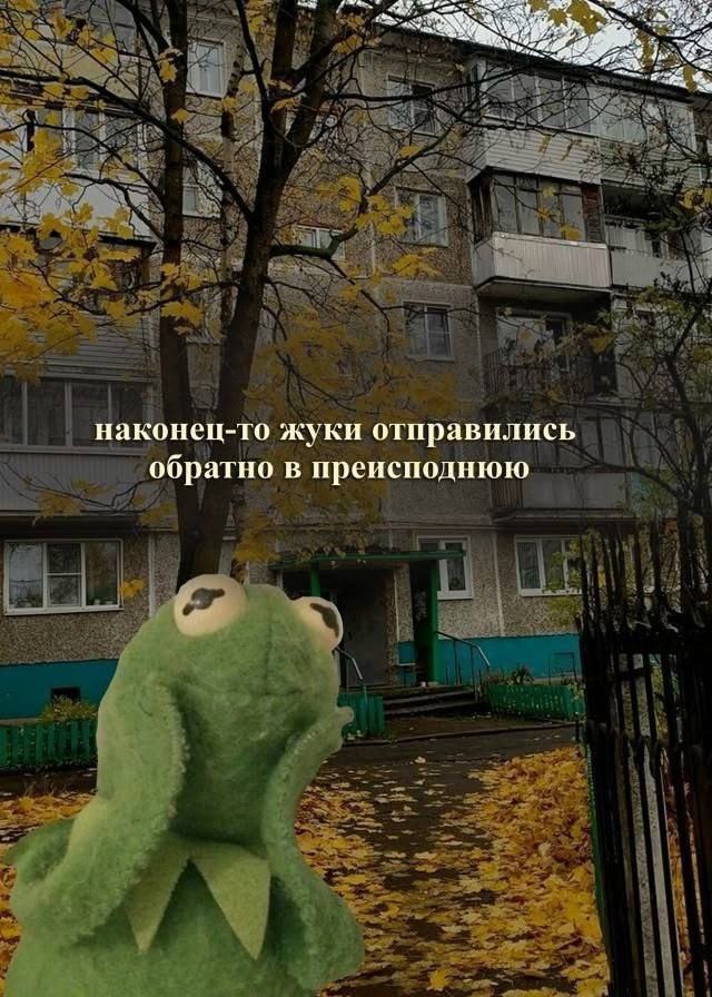 наконец-то жуки отправились обратно в преисподнюю