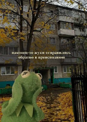 наконец-то жуки отправились обратно в преисподнюю