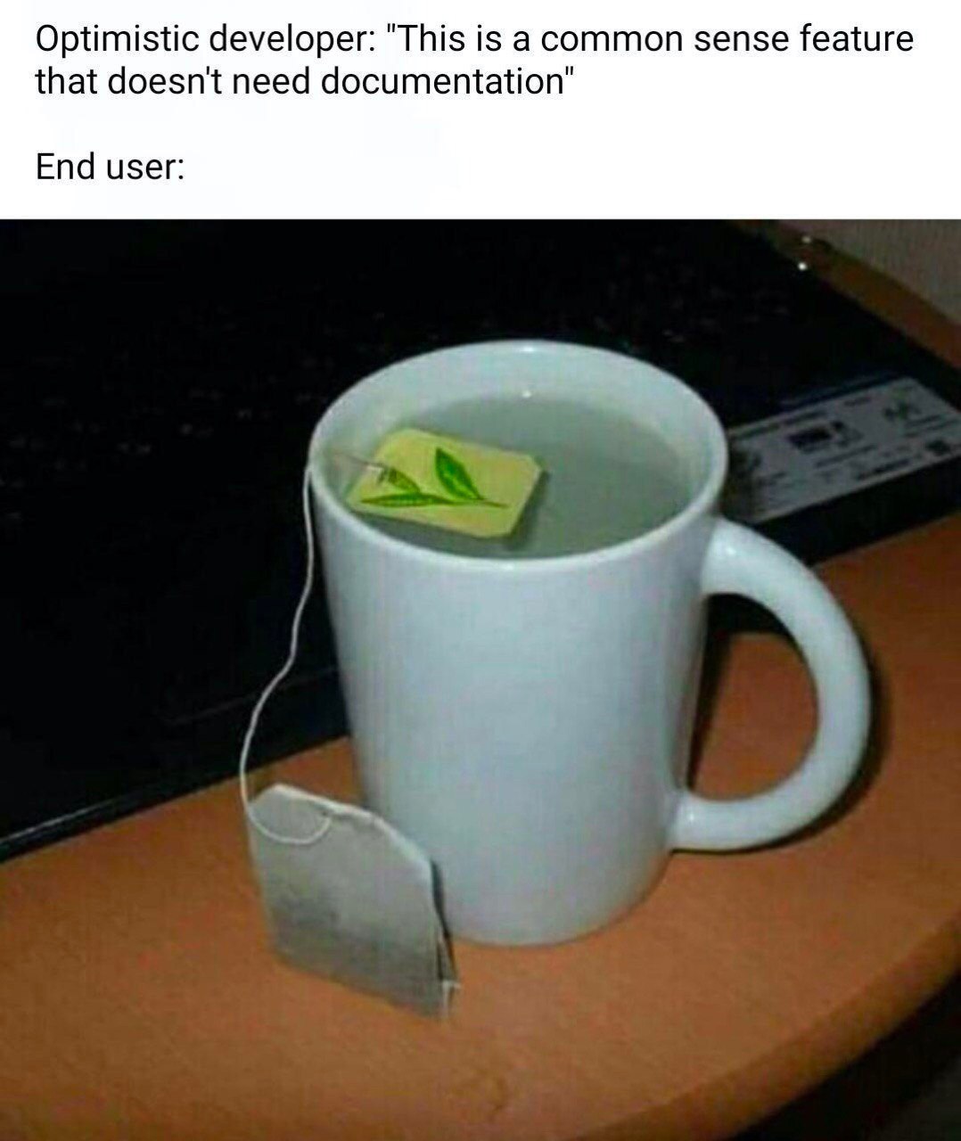 Optimistic developer: "This is a common sense feature that doesn't need documentation" End user: