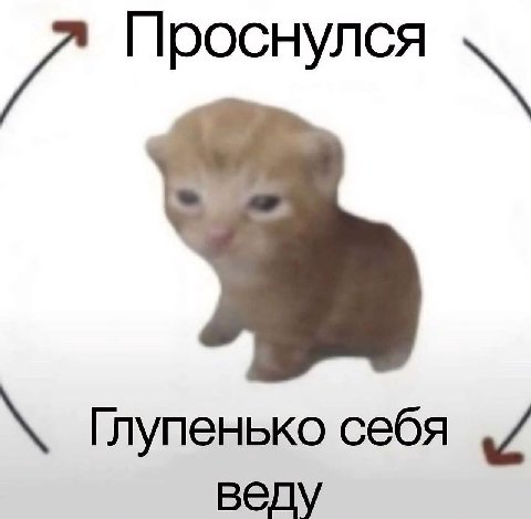 7 Проснулся Глупенько себя веду