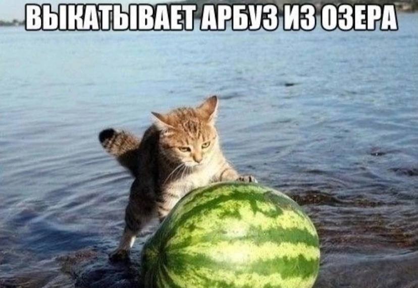 АРБУЗ ИЗ ОЗЕРА