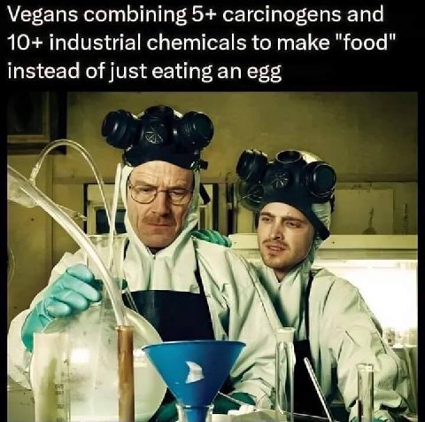 Vegans combining 5+ carcinogens and 10+ industrial chemicals to make "food" instead of just eating an egg