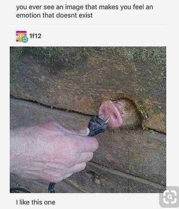 you ever see an image that makes you feel emotion that doesnt exist like this one