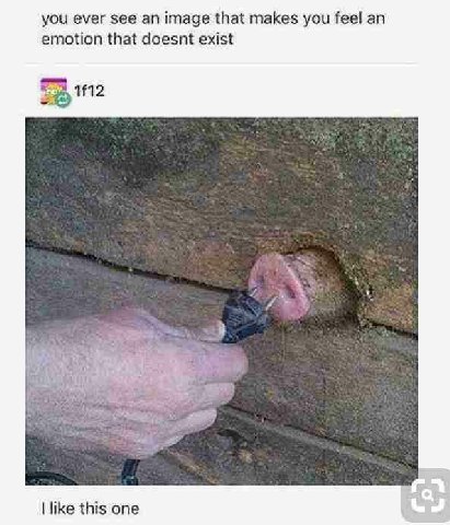 you ever see an image that makes you feel emotion that doesnt exist like this one