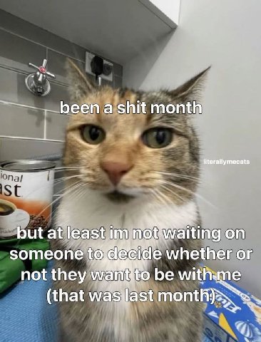 been a shit month literallymecats but at И aiting on someone whether or not they о be миАте (that wasilast