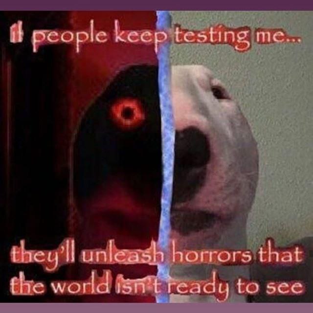 if people keep testing they'll horrors that fhe world