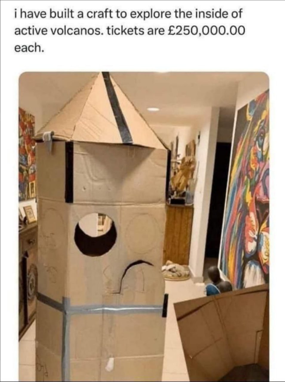 i have built a craft to explore the inside of active volcanos. tickets are £250,000.00 each. Nid