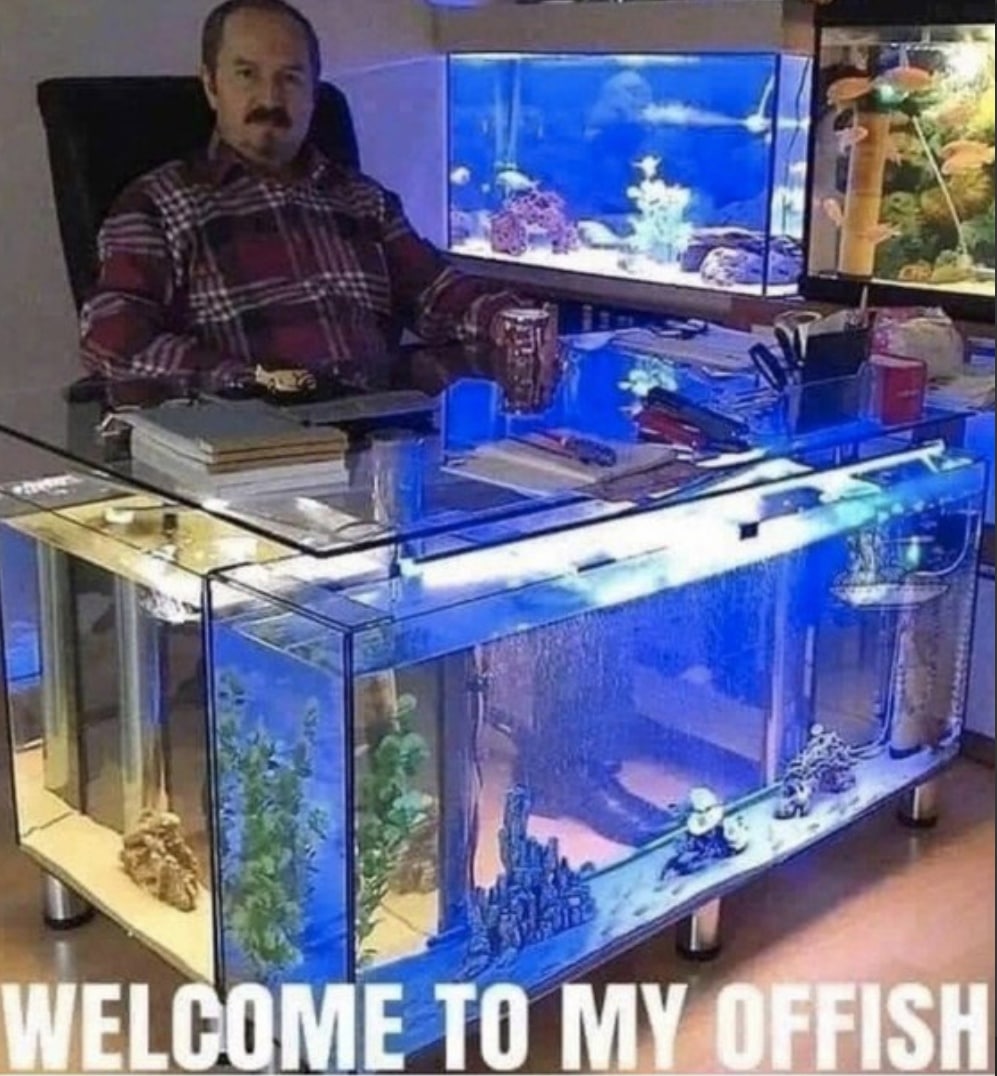 WELCOME TO MY OFFISH
