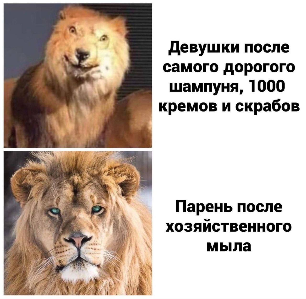 у Девушки после самого дорогого шампуня, 1000 кремов и скрабов Парень после хозяйственного мыла 4
