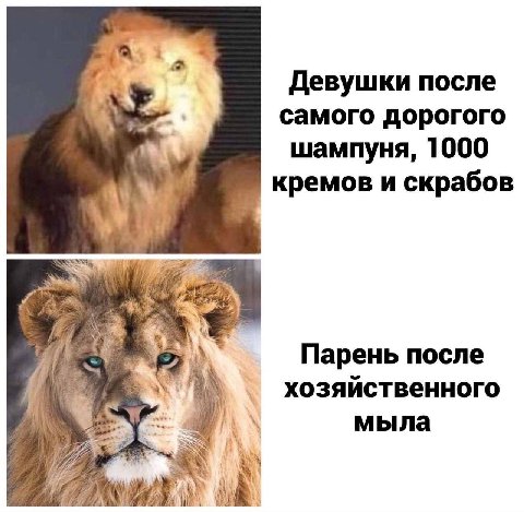 у Девушки после самого дорогого шампуня, 1000 кремов и скрабов Парень после хозяйственного мыла 4