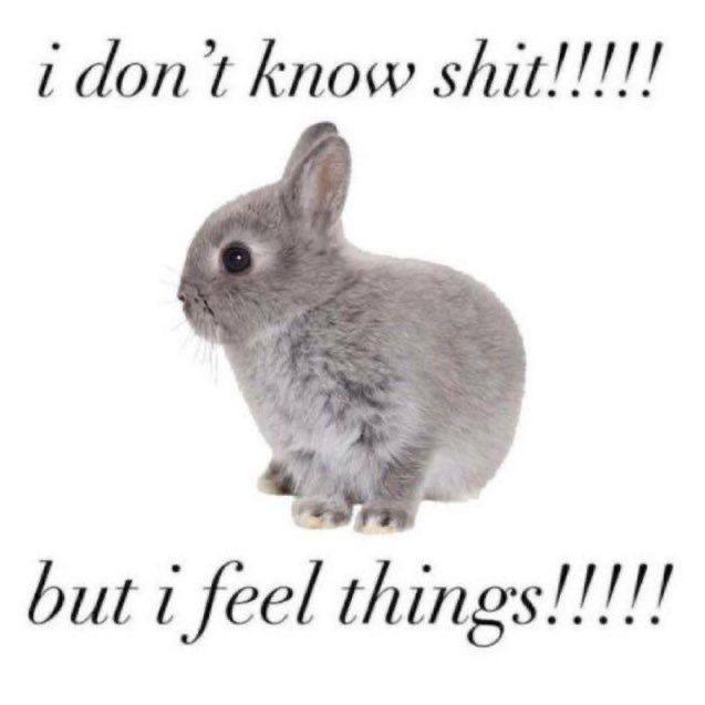 idont know shit!!!!! but i feel things