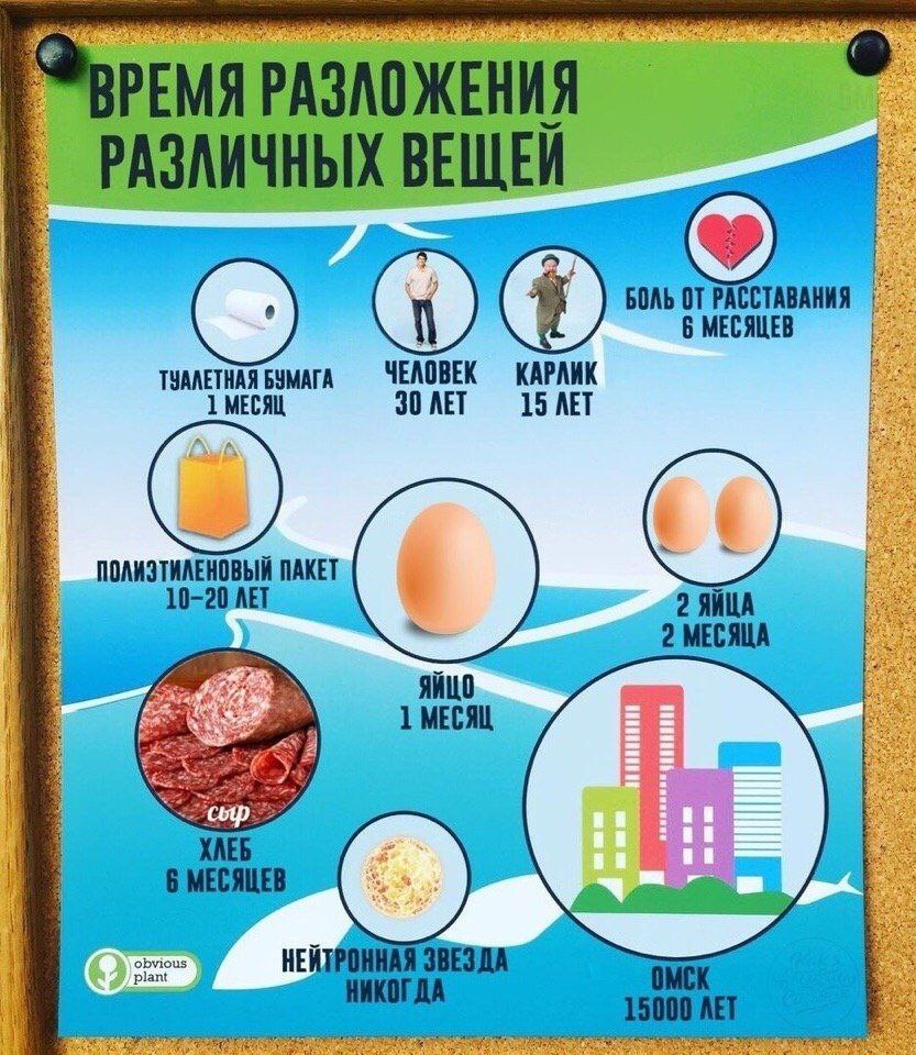 ЕМЯ ЕНИ ЧНЫ ВЕЩЕИ у i BOAb 6 МЕСЯЦЕВ ЧЕЛОВЕК КАРЛИК ТУАЛЕТНАЯ БУМАГА 325% 1 МЕСЯЦ 30 ЛЕТ 15 AET be ПОЛИЭТИЛЕНОВЫЙ ПАКЕТ 2 ЯЙЦА 2 МЕСЯЦА 4 ЯЙЦО 1 МЕСЯЦ a 1 о obvious /plant 5: aS