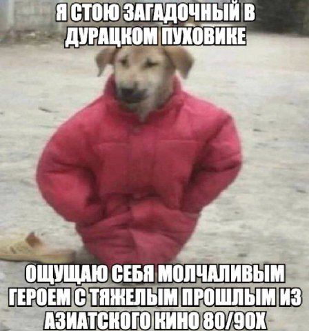 Я СТОЮ ЗАГАДОЧНЫЙ В ДУРАЦКОМ ПУКОВИКЕ ОЩУЩАЮ СЕБЯ МОЛЧАЛИВЫМ ГЕРОЕМ С ТЯЖЕЛЫМ ПРОШЛЫМ ИЗ