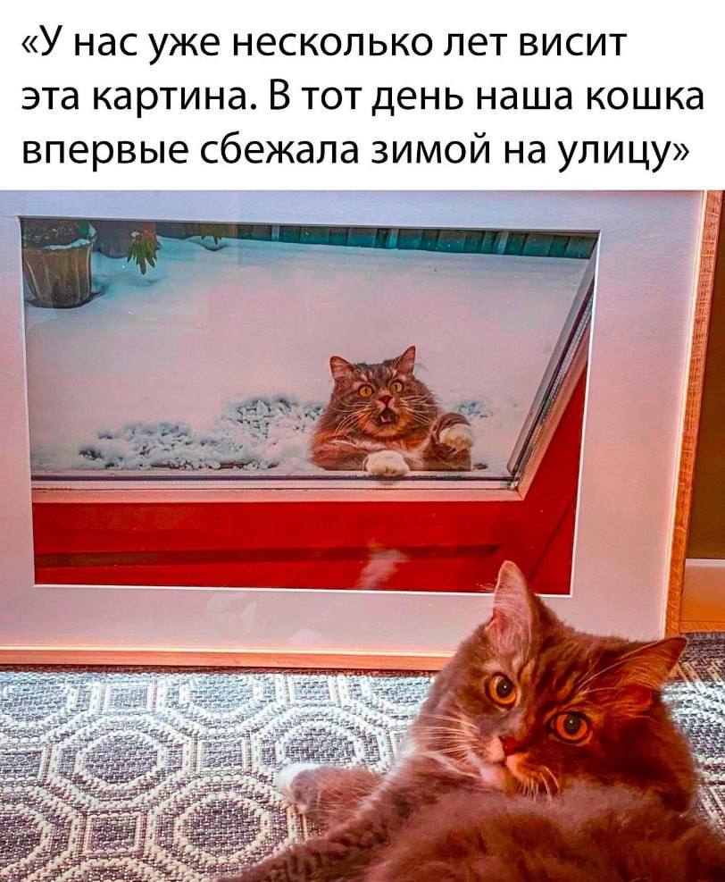 «У нас уже несколько лет висит эта картина. В тот день наша кошка впервые сбежала зимой на улицу»