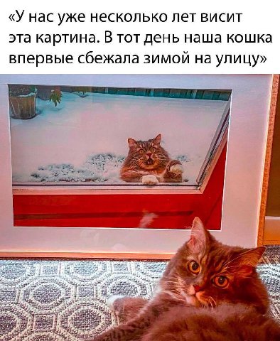 «У нас уже несколько лет висит эта картина. В тот день наша кошка впервые сбежала зимой на улицу»