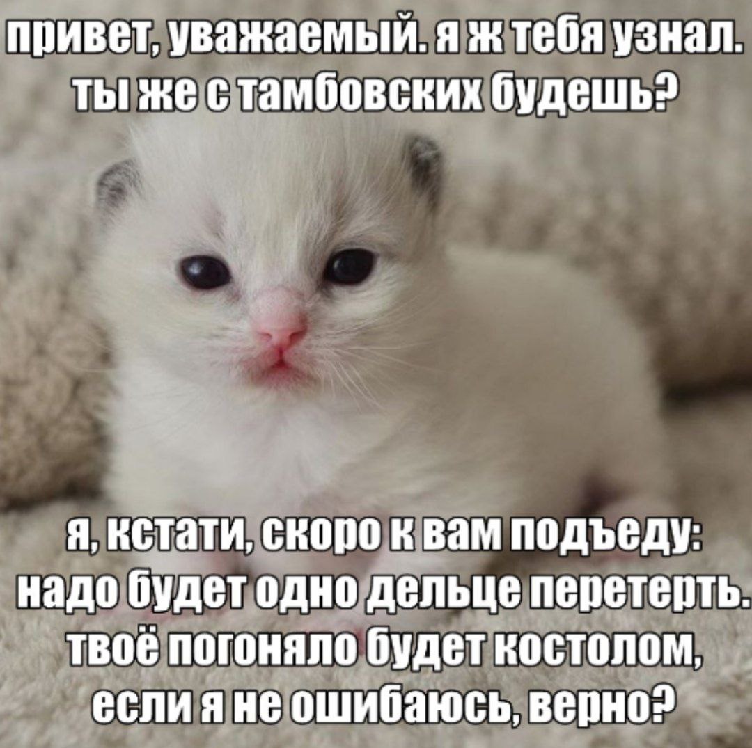 привет, уважаемый. я ж тебя узнал. ты же стамбовских будешь? я, кстати, скоро квам подъеду: надо будет одно дельце перетерть. погоняло будет KOCTONOM, если я не ошибаюсь,