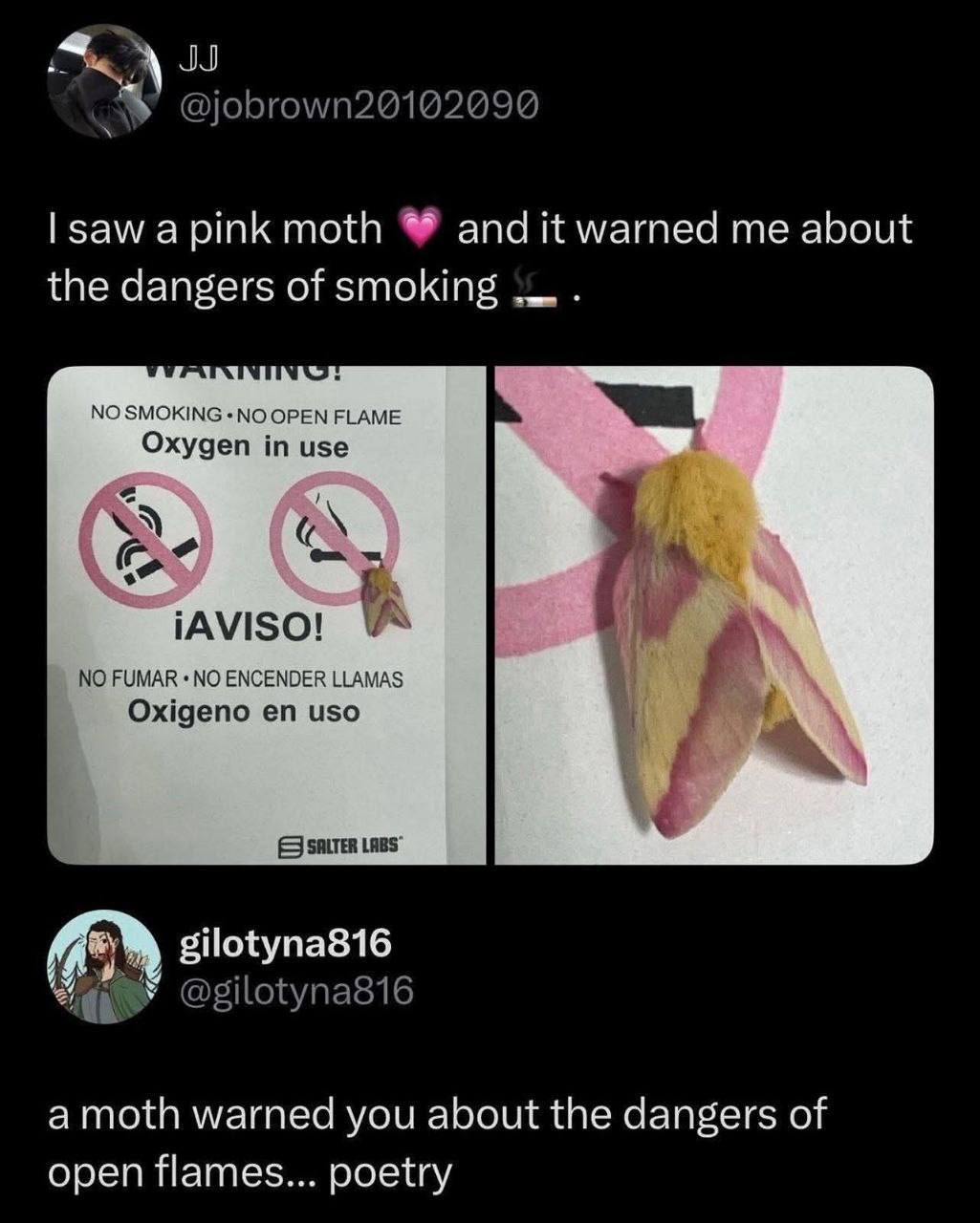 зам а moth andit warned me about the dangers of smoking NO 7 1 у gilotyna816 а то{Й warned you about the dangers of open flames... poetry