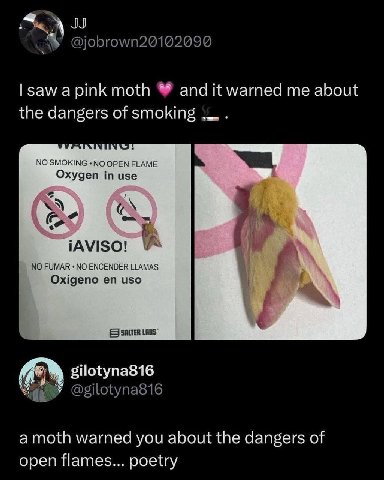 зам а moth andit warned me about the dangers of smoking NO 7 1 у gilotyna816 а то{Й warned you about the dangers of open flames... poetry