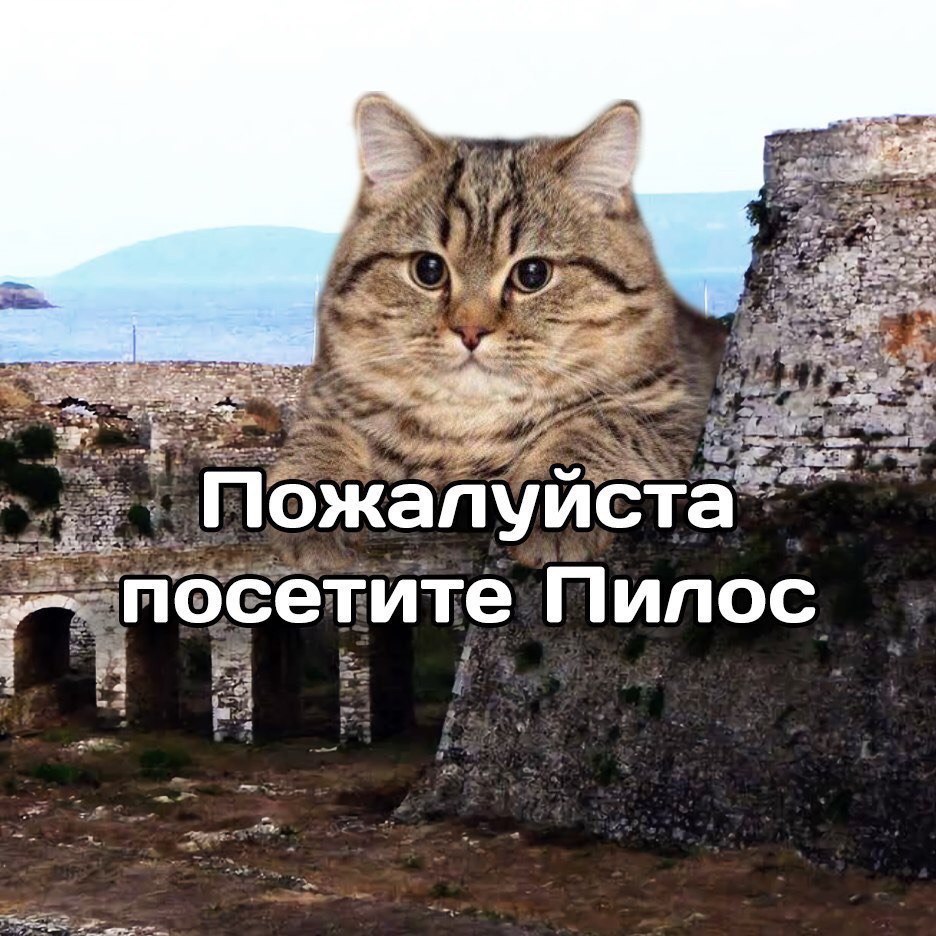 сетите Пилос