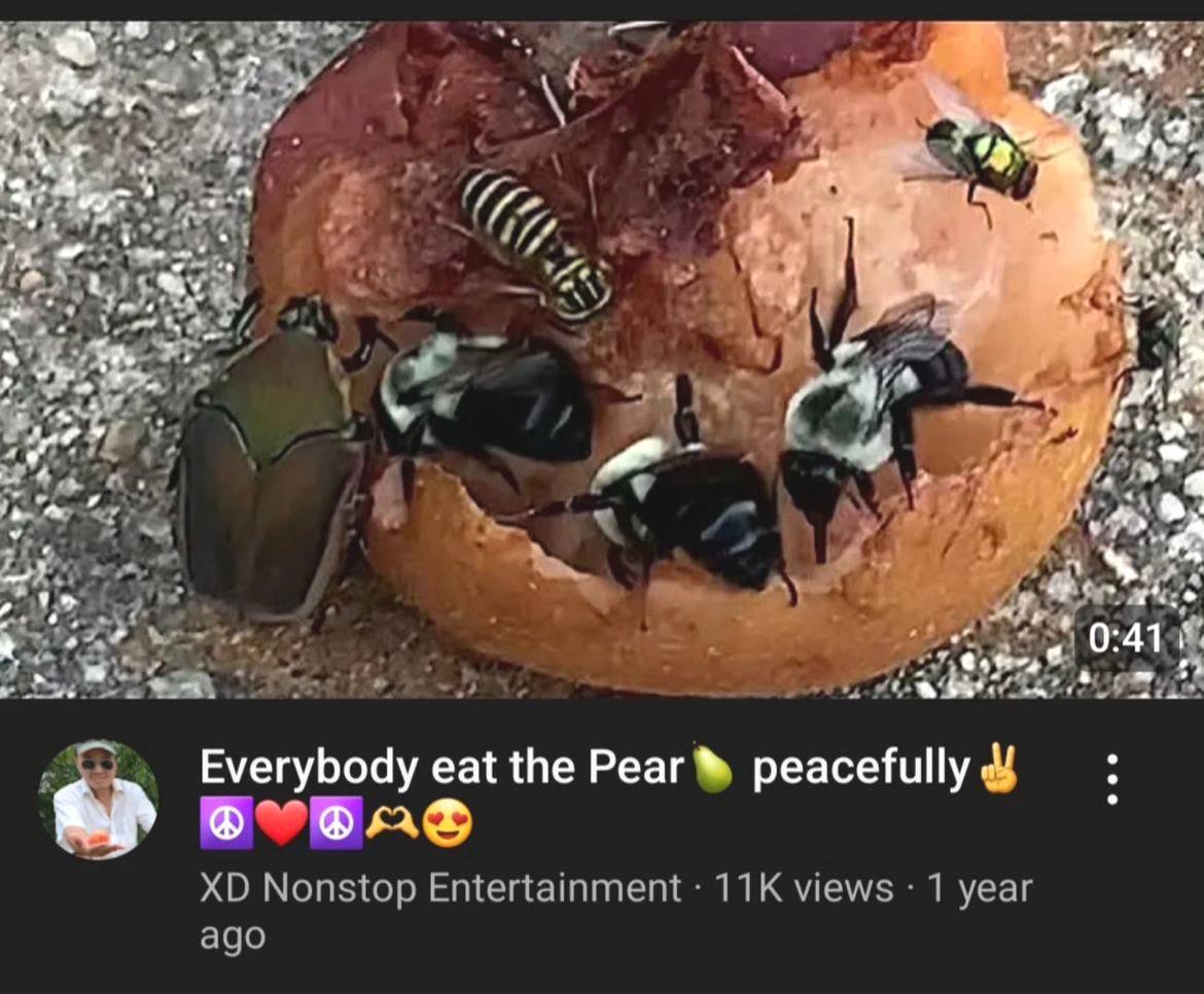 у "А we и 0:41 Everybody eat the Реаг№ peacefully Nonstop Entertainment views 1 year ago