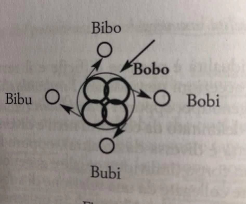 Bob