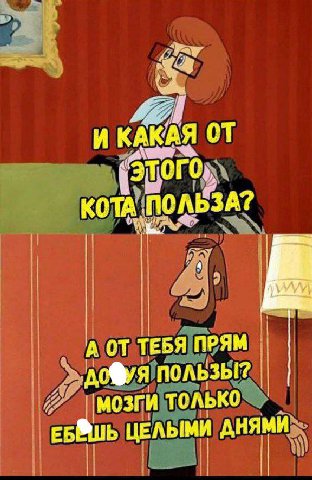 И КАКАЯ от КОТА. у А ТЕБЯ ПРЯМ дофуя пользы? мозги только ЦЕЛЫМИ a