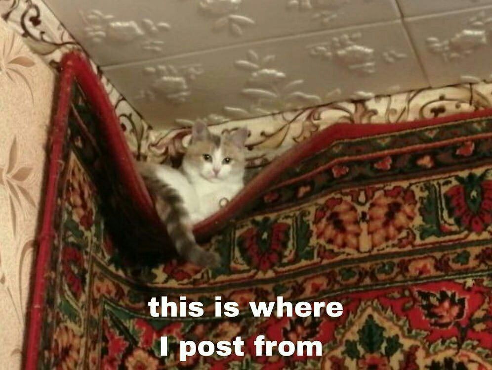 this is where post from