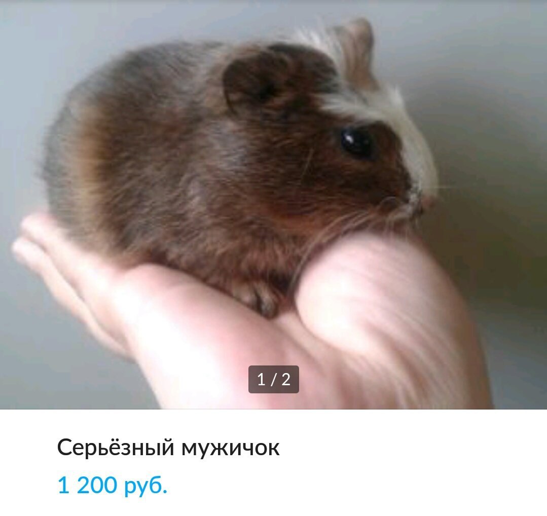Серьёзный мужичок 1 200 руб.