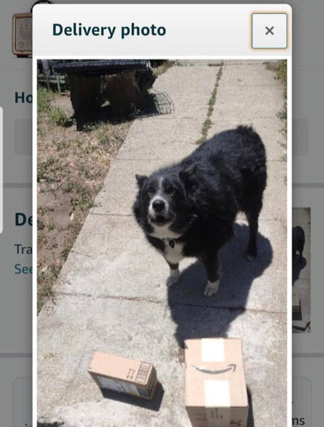 Delivery photo