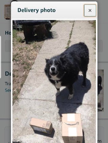 Delivery photo