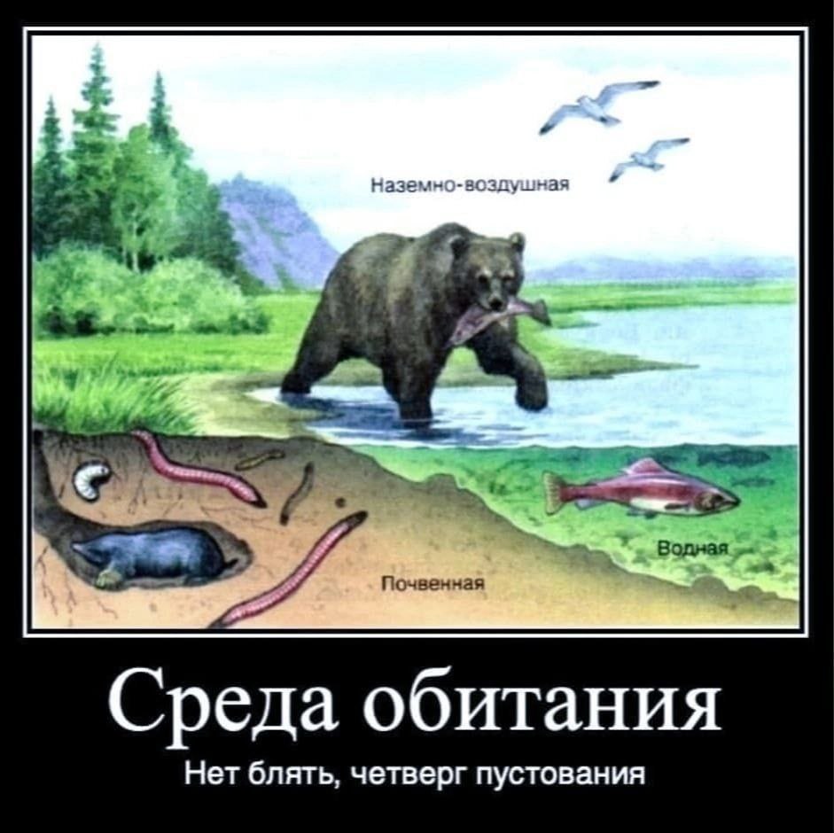 Наземно-воздушная 3 4’ Почвенная Среда обитания Нет блять, четверг пустования
