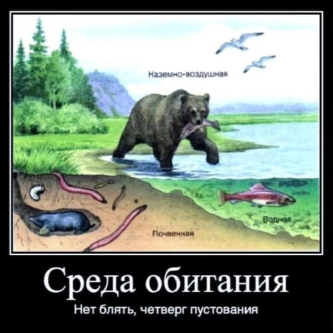 Наземно-воздушная 3 4’ Почвенная Среда обитания Нет блять, четверг пустования