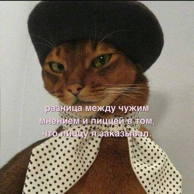 разница между чужим мнением и пиццей в том, что. пиццу я заказывал.