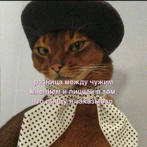 разница между чужим мнением и пиццей в том, что. пиццу я заказывал.