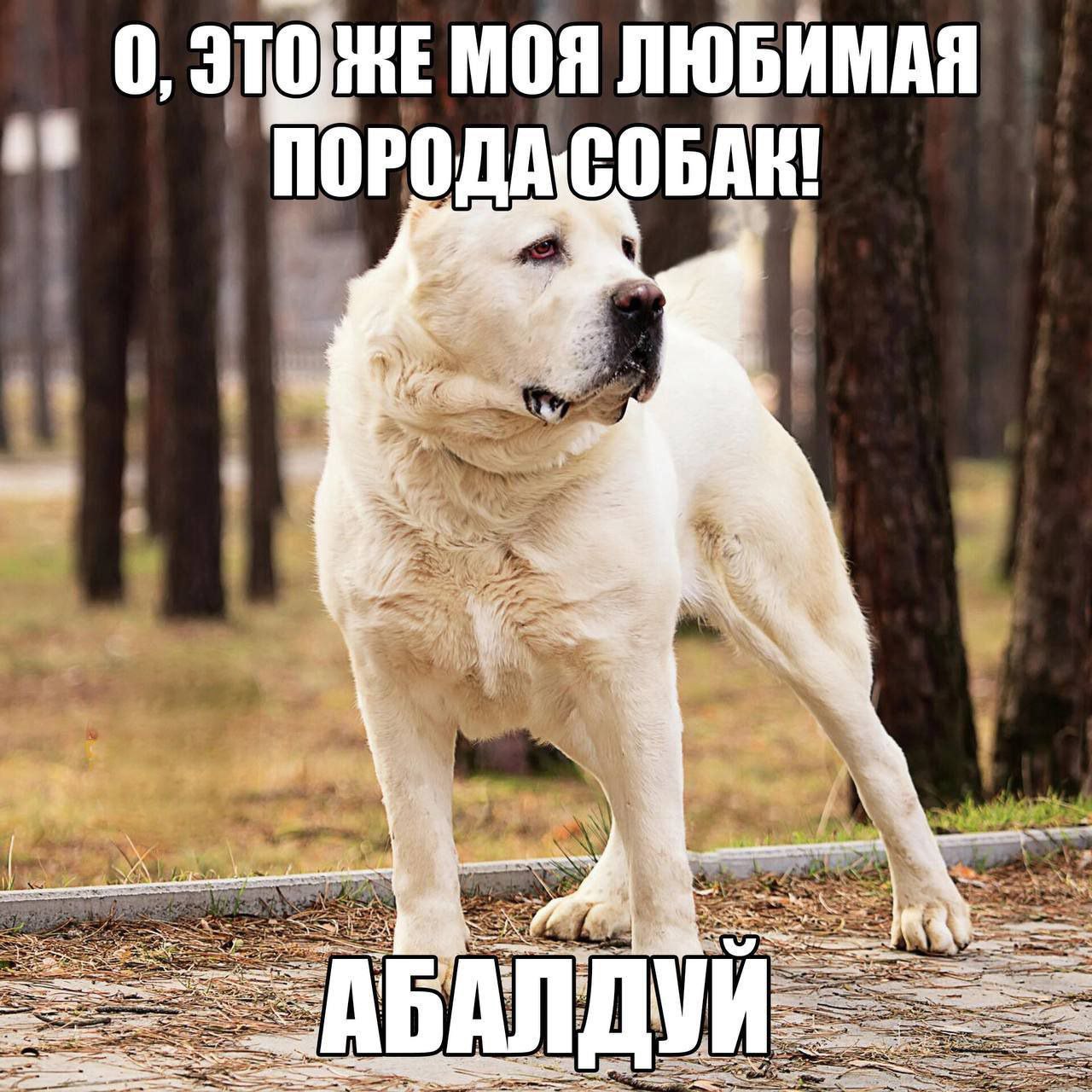 0, МОЯ ЛЮБИМАЯ mal Я