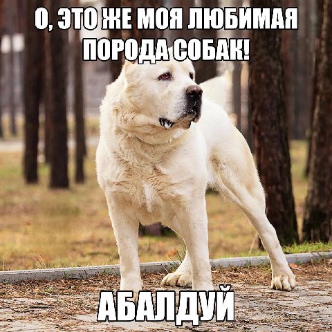 0, МОЯ ЛЮБИМАЯ mal Я