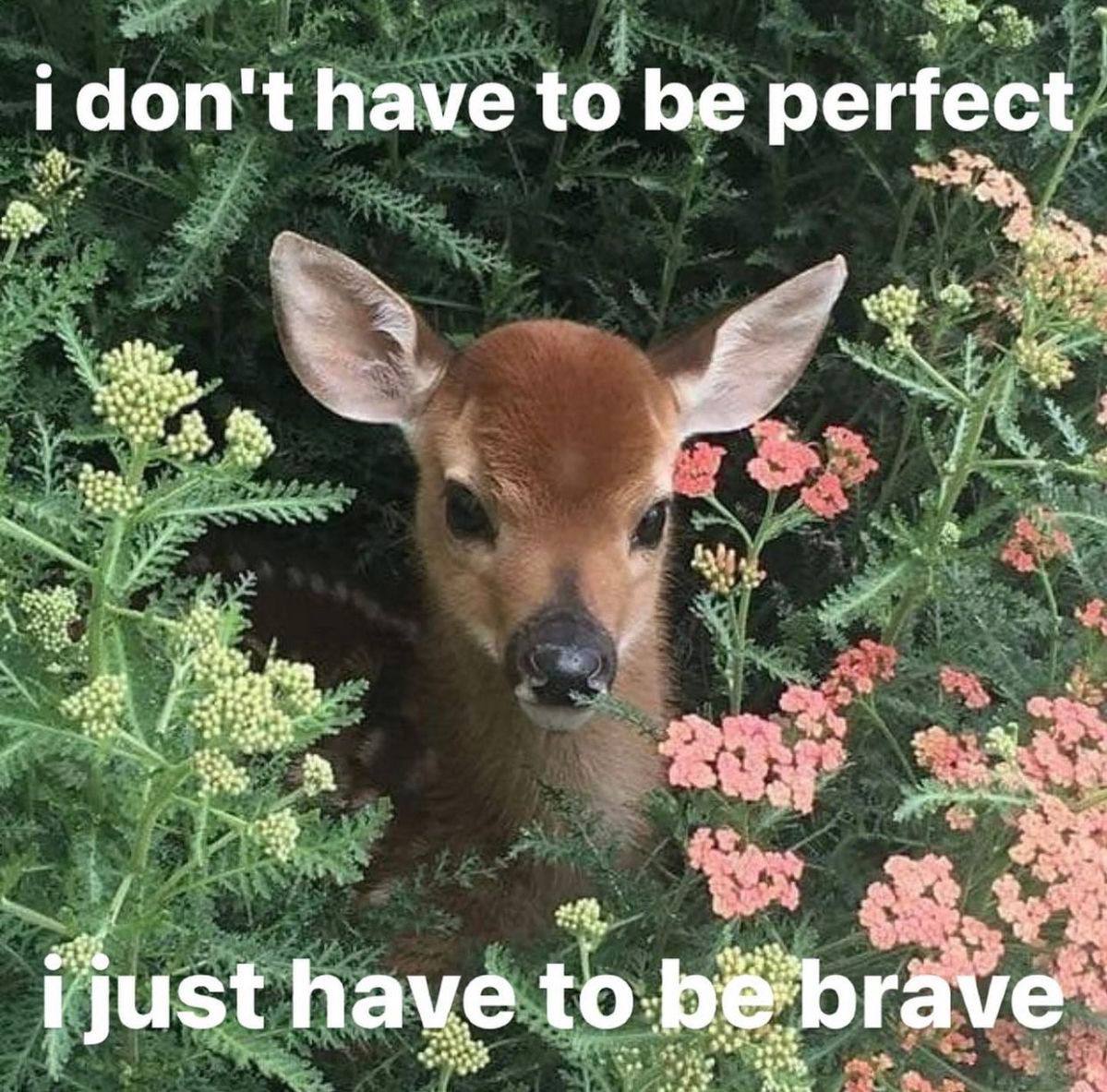 i don’ have to be perfect A i have to.