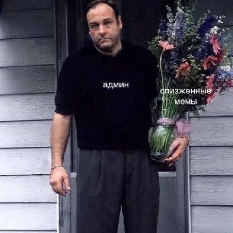 админ спизженные Мемы