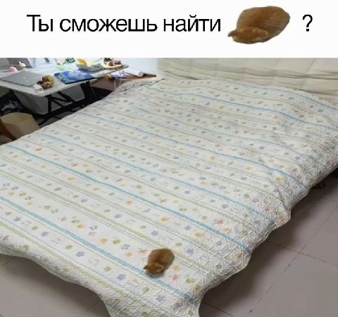 Ты сможешь найти ase a4