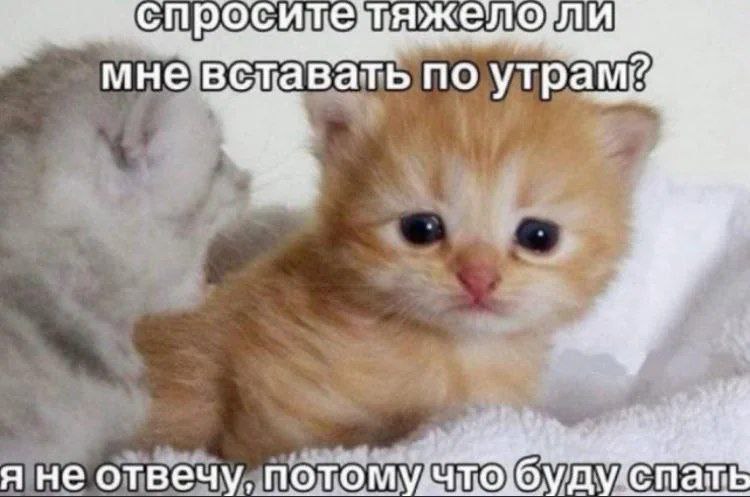 A мне'‘вставать по я не отвечу, уду cna